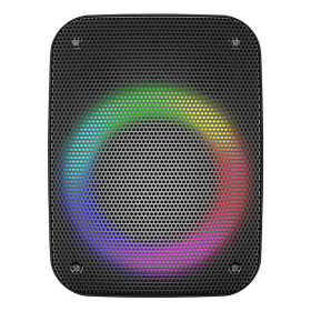 8" Bluetooth Speaker with FM Radio