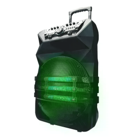 Professional Speaker With True Wireless Technology