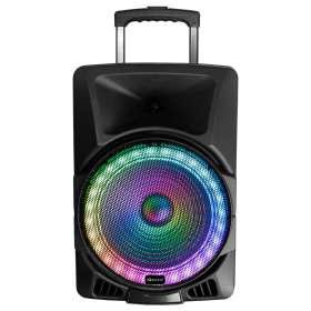 15" Portable Bluetooth Speaker with True Wireless Stereo