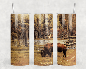 Buffalo|Skinny Tumbler|Optional Bluetooth Speaker| Speaker Color Varies (Color: 195311991)