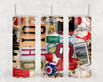 Ohio - 20 oz Steel Skinny Tumbler - Optional Blue Tooth Speaker - Speaker Color will Vary (Color: 258017259)