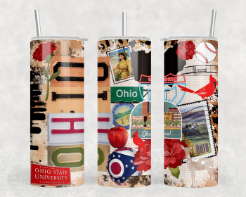 Ohio - 20 oz Steel Skinny Tumbler - Optional Blue Tooth Speaker - Speaker Color will Vary (Color: 259717258)